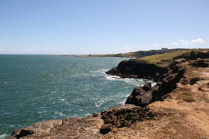 Nieuw-Zeeland 2011 - 1801